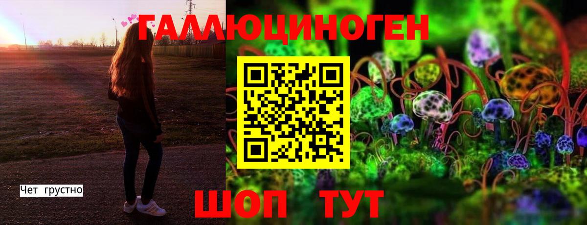 Галлюциногенные грибы Psilocybine cubensis Ливны