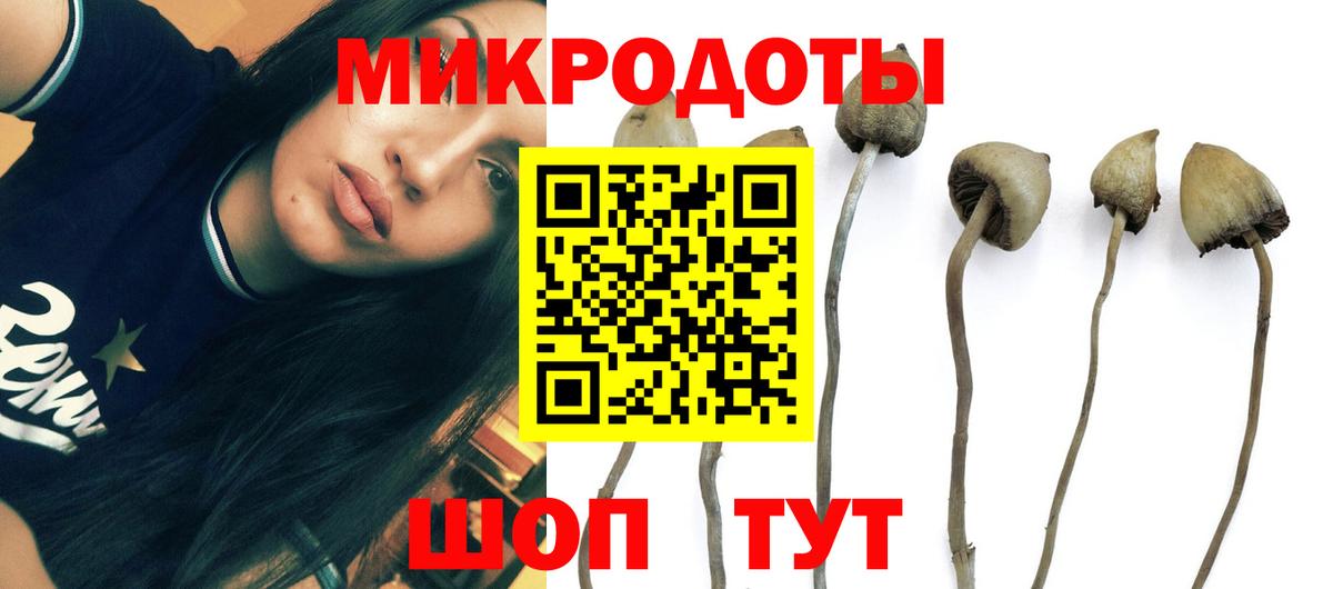 Галлюциногенные грибы Psilocybe  Вход с VPN  Ливны 